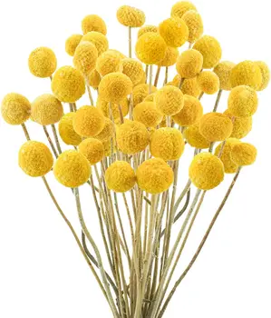 Натуральные сушеные цветы Craspedia Billy Balls Идеально подходят для цветочных композиций Свадебного декора Декора высоких ваз для дома Желтые цветы