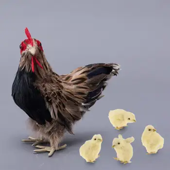 Украшение модели курицы с орнаментом в виде 4 фигурок цыплят для двора дома