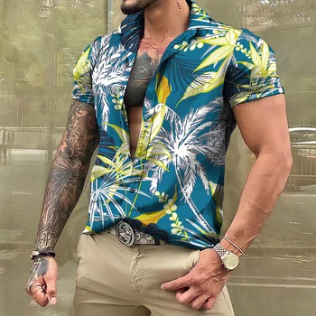 Мужские гавайские рубашки и блузки, повседневные рубашки с короткими рукавами и пляжным 3D принтом в тропическом стиле, одежда больших размеров