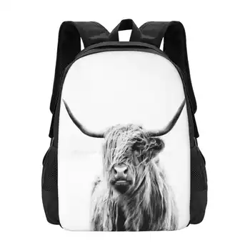 Портрет Высокогорной Коровы Рюкзак Для Студенческого Школьного Ноутбука Дорожная Сумка Steer Highland Cow Highlander Animal Popular Fuhg